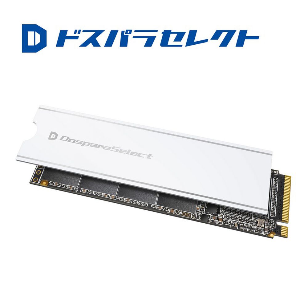 ドスパラセレクト PGX4-020TA1 (M.2 2280 Gen4 2TB)